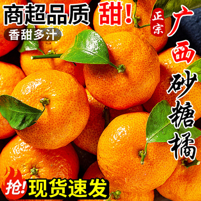 正宗广西砂糖橘新鲜水果当季现摘蜜桔金秋沙糖桔橘子大果整箱包邮