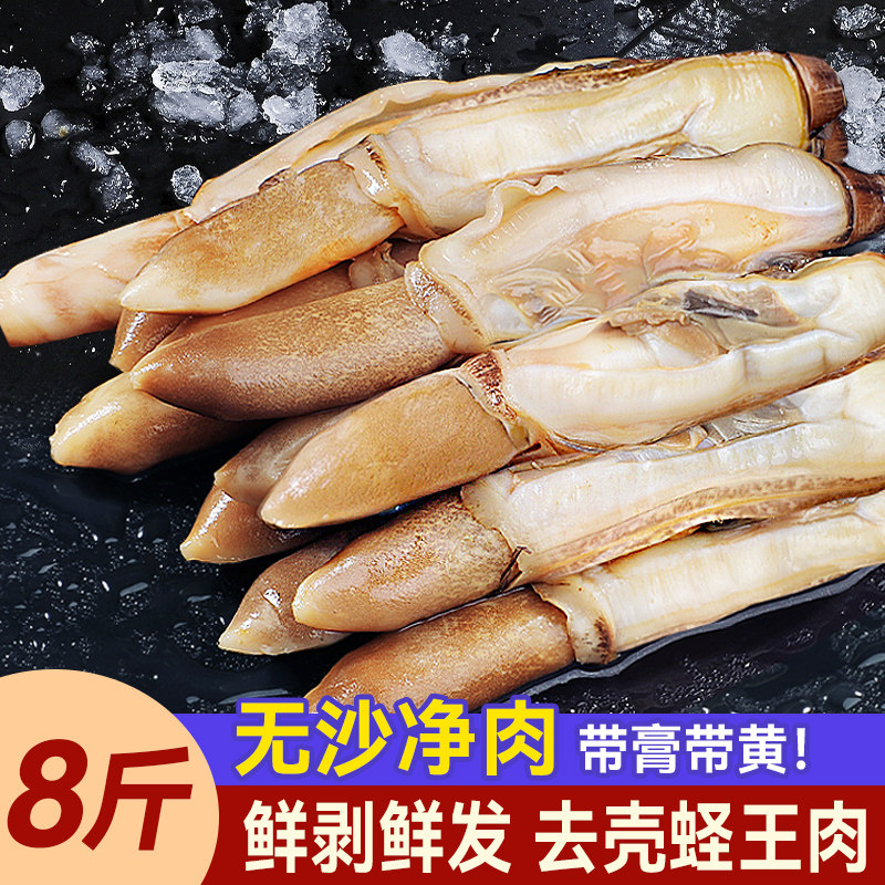 新鲜蛏王肉鲜活超大海鲜水产批发图片