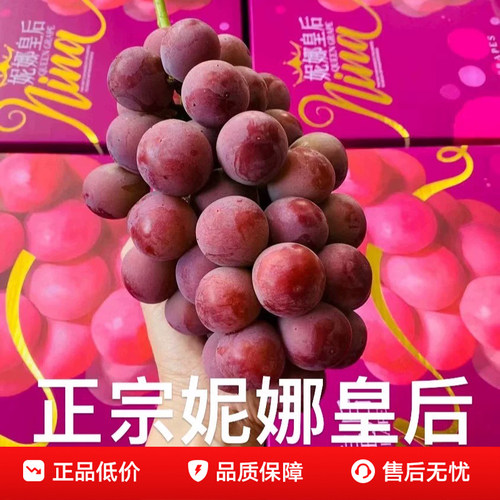 妮娜皇后普通已售99999+