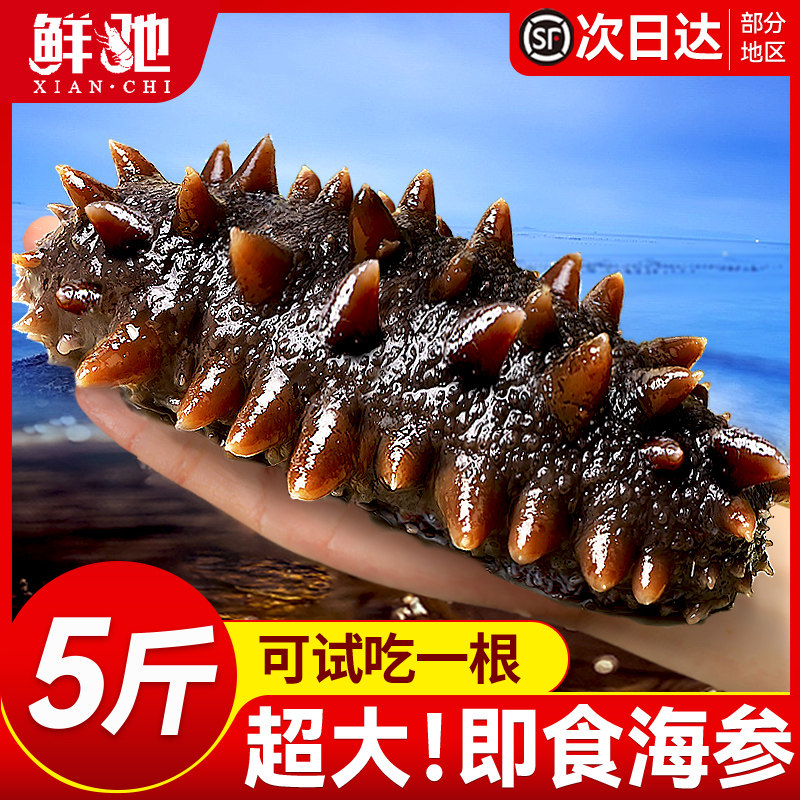 即食大海参！百万回购
