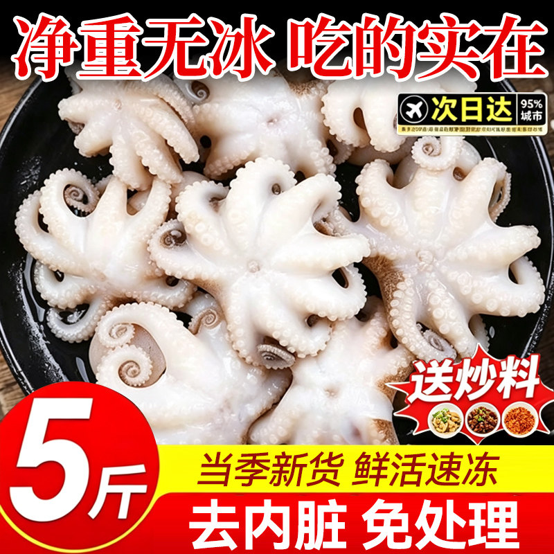小八爪鱼鲜活迷你大章鱼日料半成品整只爆头冷冻海鲜水产芥末商用