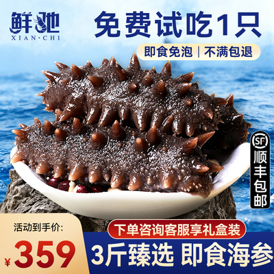 3斤装大连9年即食海参孕妇自补