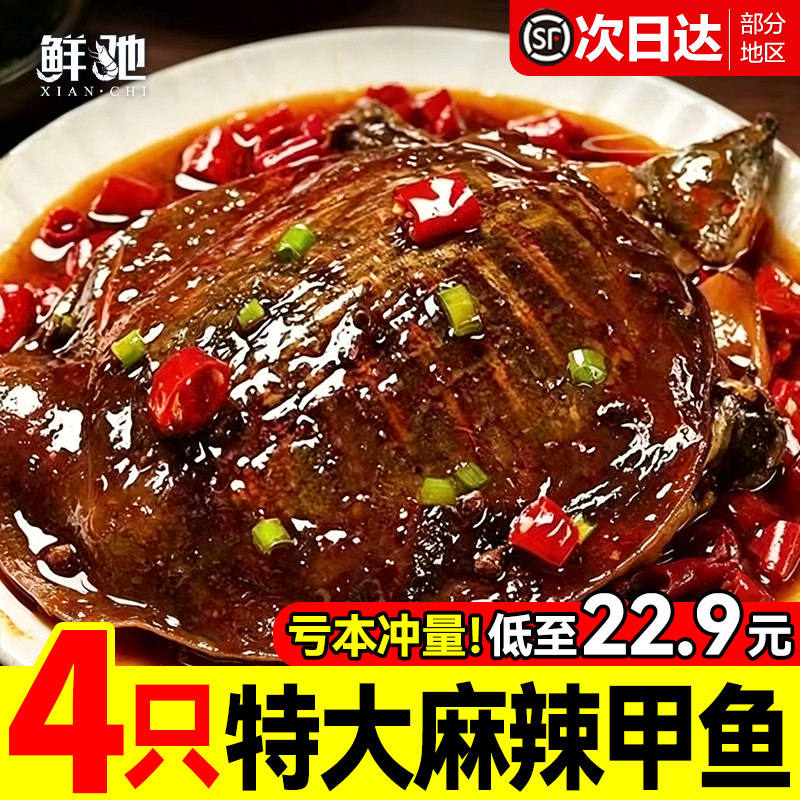 麻辣甲鱼熟食开袋即食整只卤味团鱼裙边网红麻辣鲜活食用卤鳖王八
