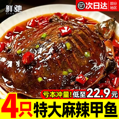 特大麻辣甲鱼熟食开袋即食整只