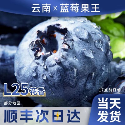 正宗云南花香蓝莓已售10w+