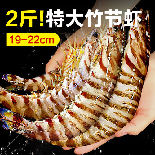 竹节虾海鲜九节虾斑节虾黑虎虾基围虾特大超大虾鲜活速冻水产海虾 - 封面