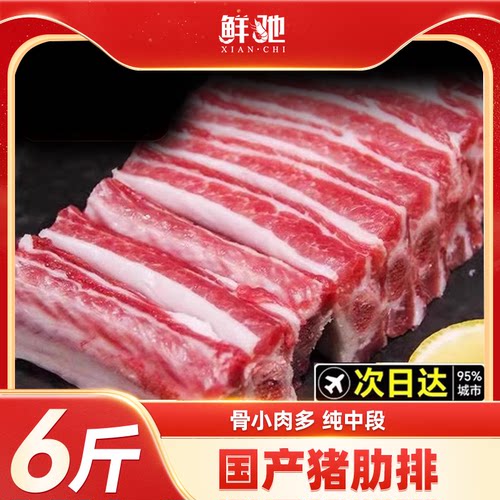 猪肋排排骨多肉仔排脊骨