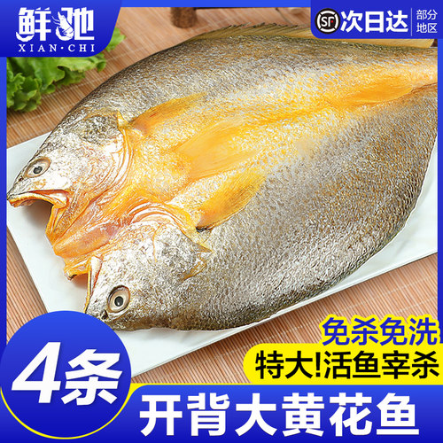 顺丰！新鲜开背黄花鱼肉质细腻