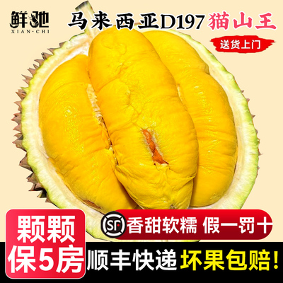 马来西亚猫山王榴莲天花板已售9w