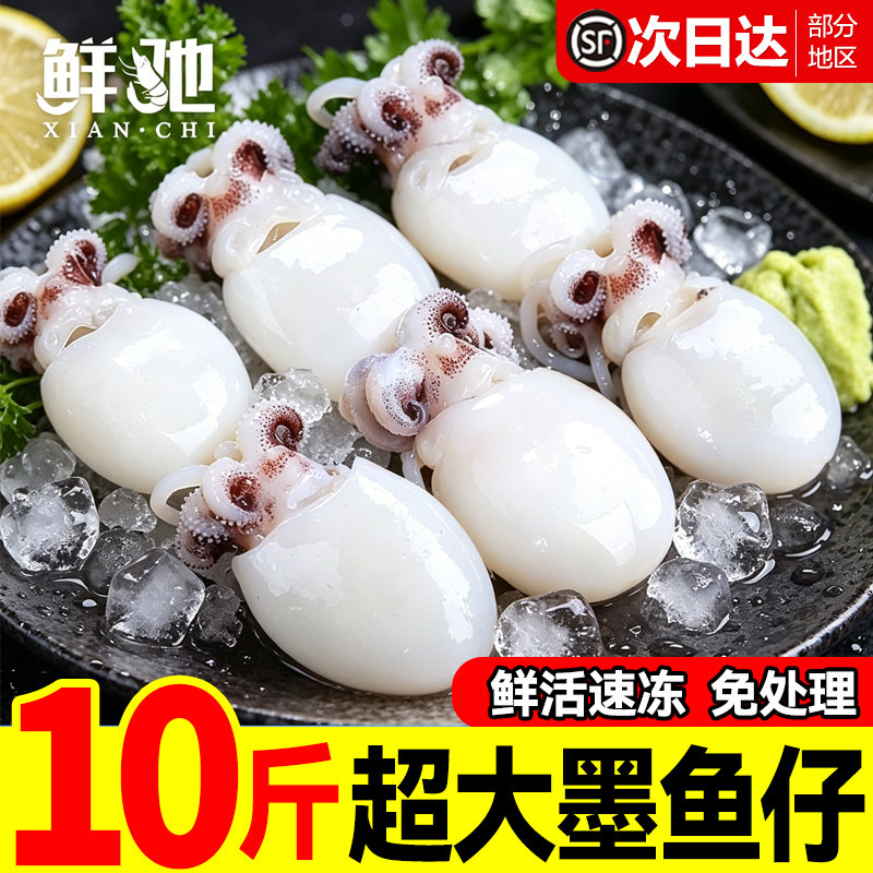 鲜驰新品上市!万级回购!限时优惠