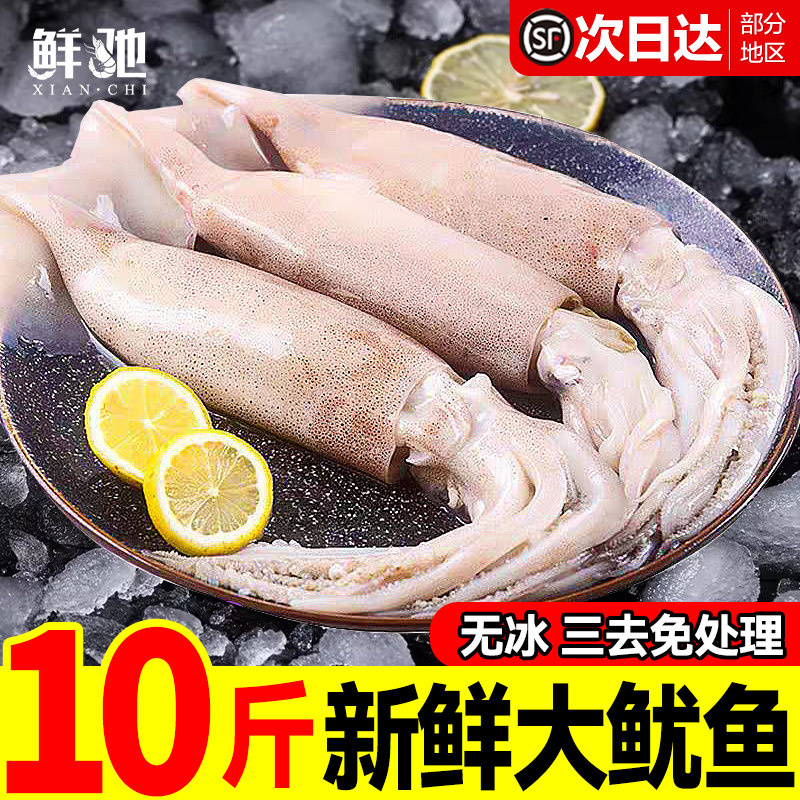 大鱿鱼新鲜冷冻鱿鱼生鲜火箭鱿鱼铁板烧烤半成品专用整只商用批发,水产肉类/新鲜蔬果/熟食,冷冻鱿鱼,淘宝优惠券,粉丝福利购,淘宝优惠卷