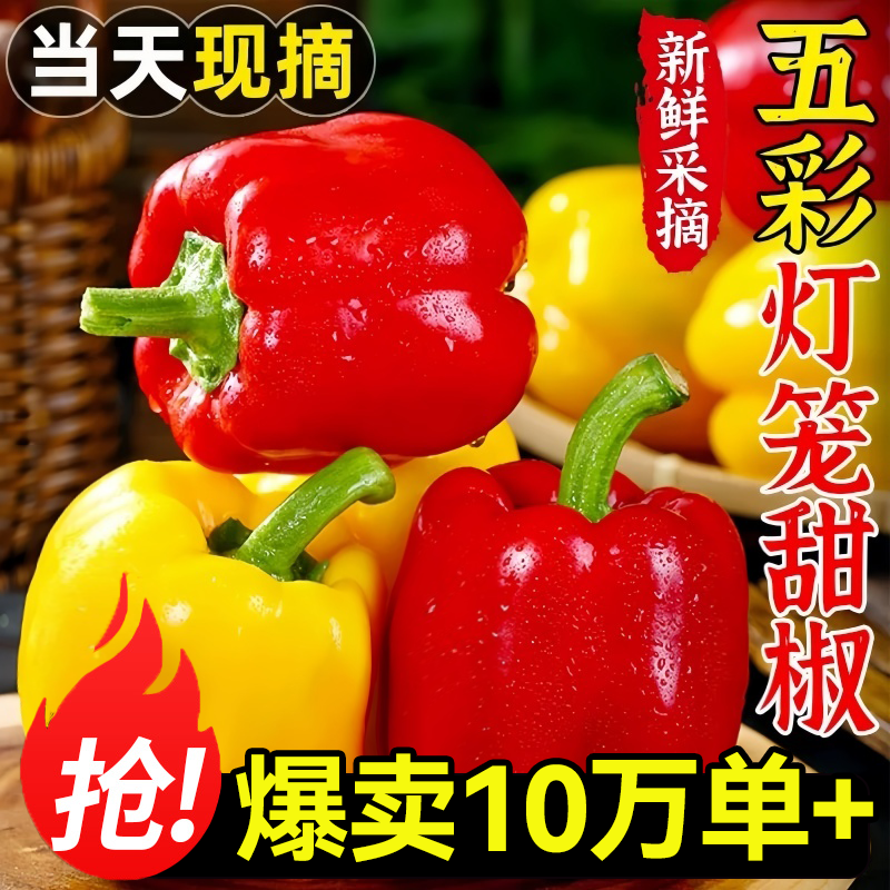 彩椒新鲜水果椒生吃甜椒菜椒蔬菜红黄灯笼椒当季辣椒七彩10斤批发