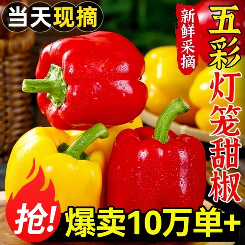 生吃七彩椒蔬菜已售99999+