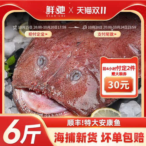 顺丰特大安康鱼免处理保留鱼肝