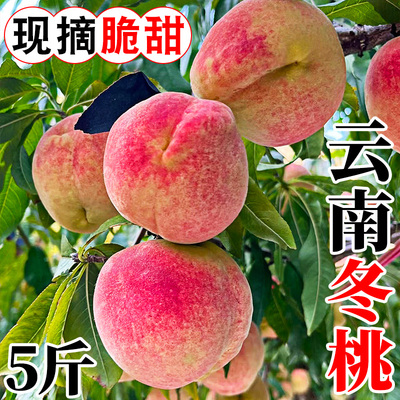 现摘冬桃！百万复购！