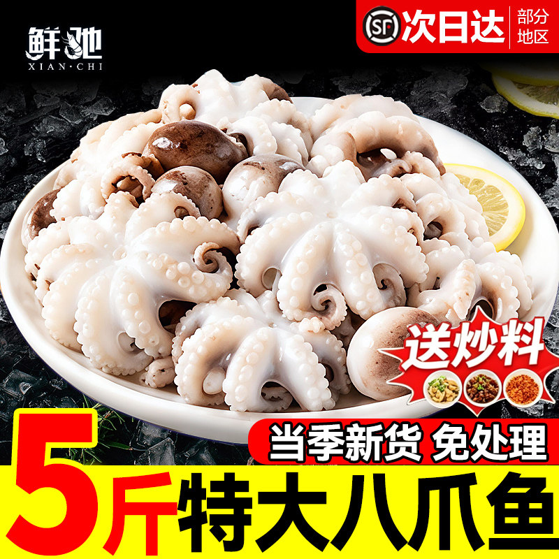 鲜驰新品上市!万级回购!限时优惠