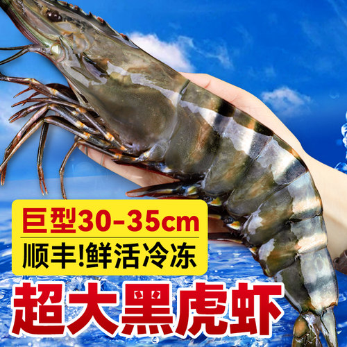 万人抢购！特大黑虎虾新鲜整只