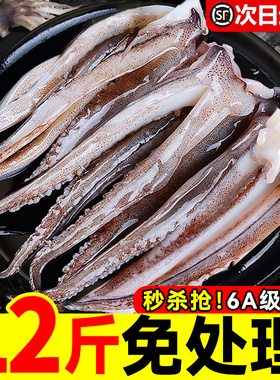 新鲜鱿鱼须鲜活冷冻尤鱼串腿生鲜章鱼二本足海鲜水产铁板鱿鱼商用