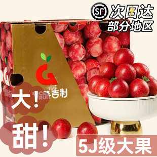智利樱桃李5斤新鲜珠宝李应当季水果进口李子西梅恐龙蛋大果整箱3