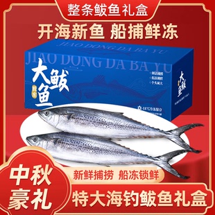 鲅鱼礼盒新鲜冷冻马鲛鱼海鱼冻鱼大鲅鱼青占鱼鲐鲅鱼水产中秋送礼