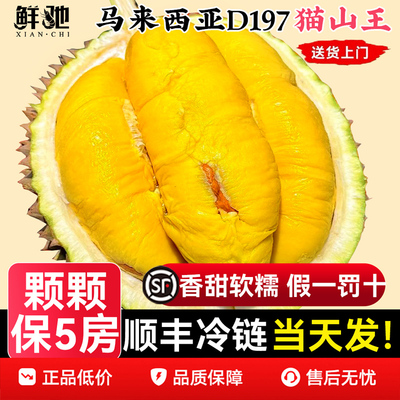 马来西亚猫山王榴莲天花板已售9w
