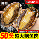 鲍鱼肉鲜活冷冻去牙去壳新鲜活鲍现剥去内脏火锅食材500g海鲜水产