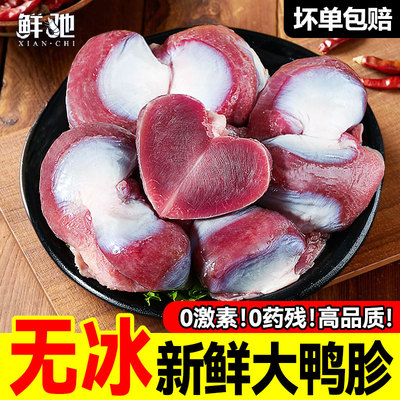 无冰！新鲜大号鸭胗鸭肫生鲜食材