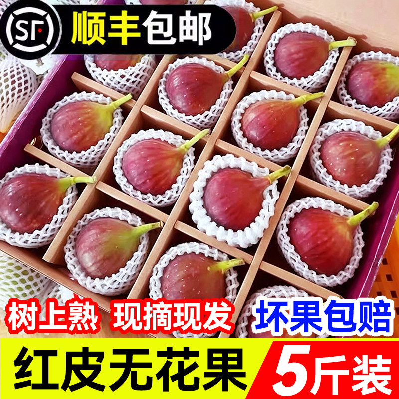 新鲜云南红皮无花果精选大果现摘儿童新鲜水果软糯应当季包邮顺丰