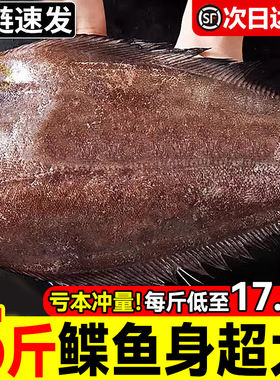 超大号鲽鱼新鲜现切格陵兰碟鱼身比目鱼活冷冻整条深海鸦片鱼鳐鱼