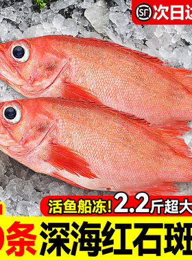红石斑鱼鲜活冷冻大红鱼多宝鱼深海黄花鱼速冻海鲜水产鲈鱼金鲳鱼