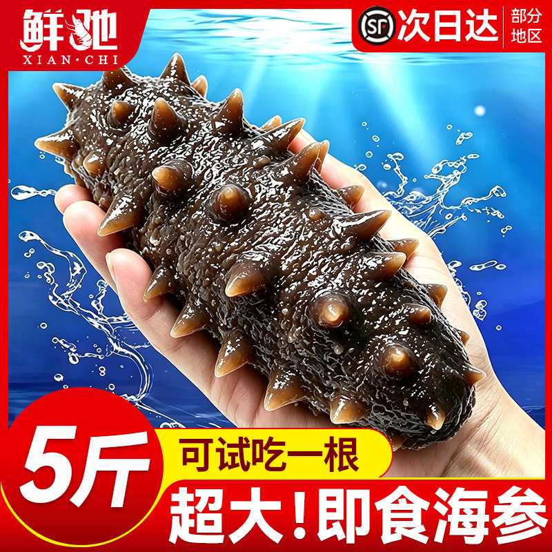 即食大海参!百万回购