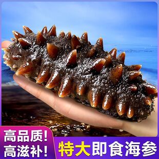 鲜驰即食海参大连瓦房店海参新鲜刺身8年深海底播辽刺参袋装正宗P