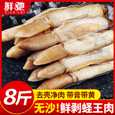 新鲜蛏王肉鲜活超大海鲜水产批发