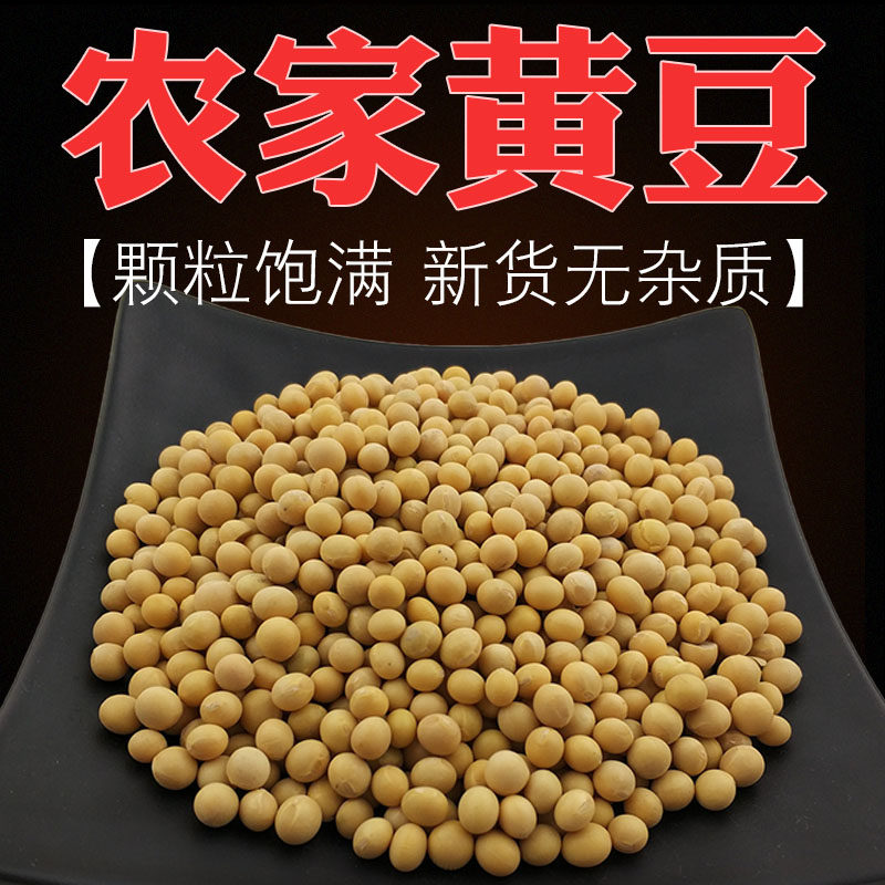 农家黄豆五谷杂粮大豆自种小黄豆新鲜大黄豆笨黄豆打豆浆非转基因