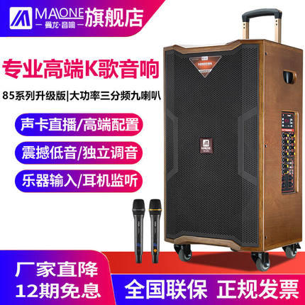 曼龙（MALONE）高端户外音响18吋大功率带无线蓝牙话筒原声K歌移