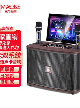 曼龙（MALONE）KT-333广场舞音响带显示屏户外K歌家庭ktv套装家用