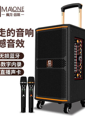 曼龙（MALONE）户外广场舞音响大功率重低音带声卡无线话筒蓝牙网