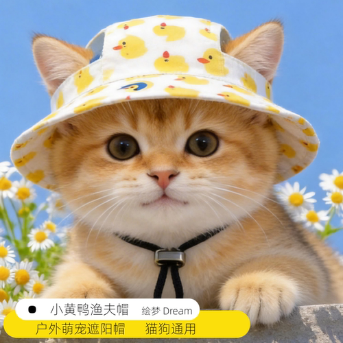 猫狗通用夏日渔夫帽萌可爱漏耳朵