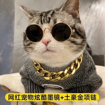 猫咪眼镜炫酷狗狗墨镜宠物小型犬太阳镜小猫专用装扮饰品拍摄道具