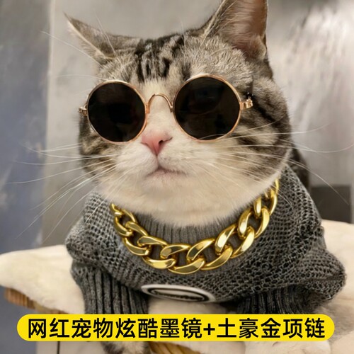 网红猫咪狗狗搞怪搞笑专用配饰