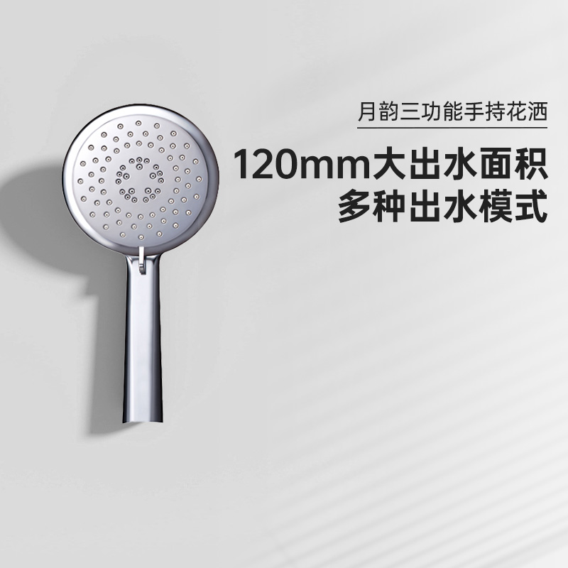 美标手持花洒淋浴顶洒