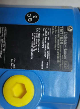 恩斯豪斯 TMT162R 温度变送器，蓝色外壳，恩斯豪斯