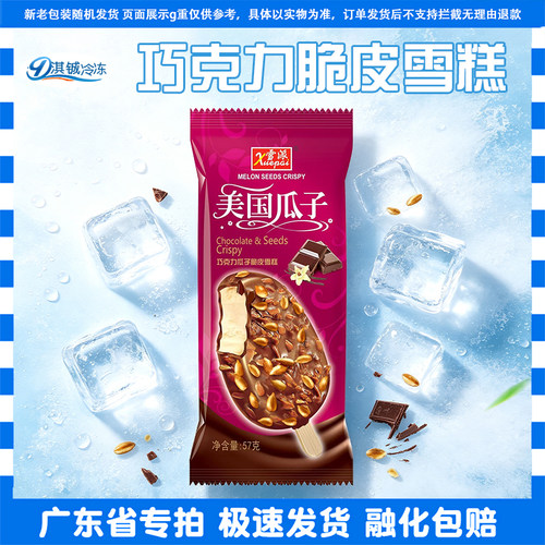 雪派美国瓜子巧克力脆皮雪糕