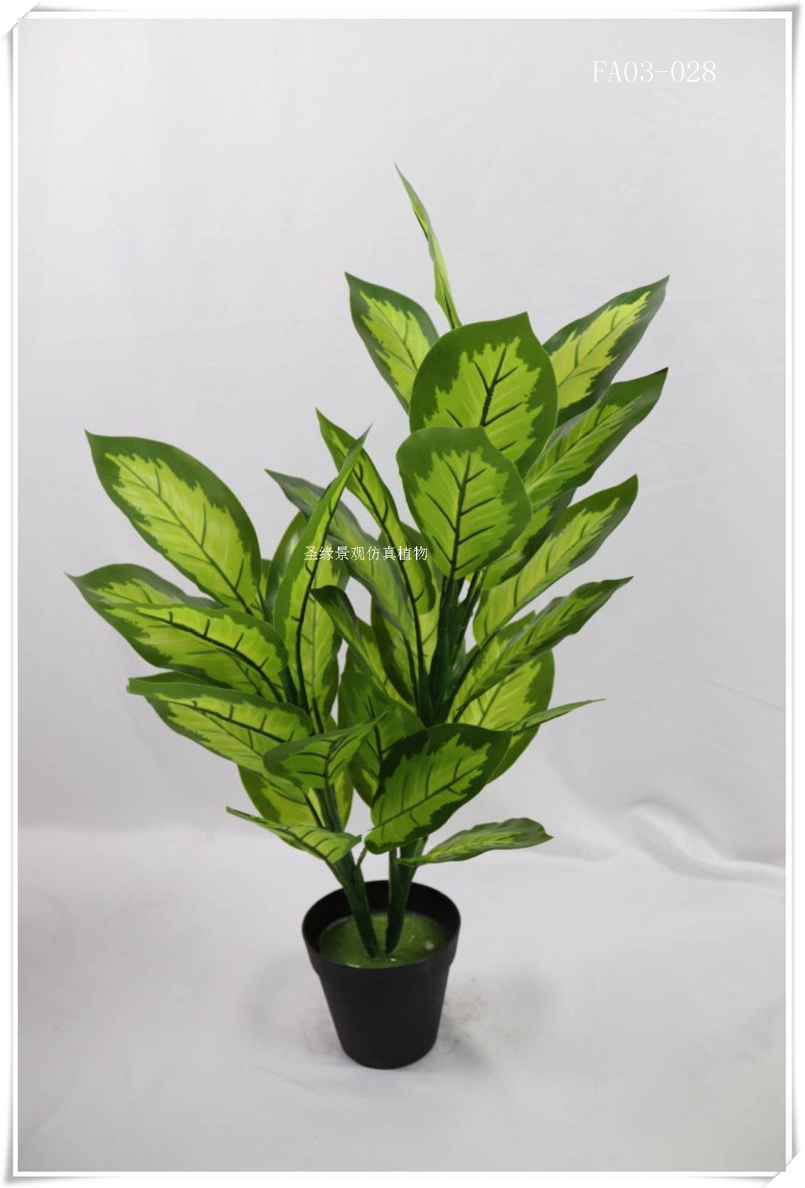 仿真万年青把束绿植盆景盆栽白边万年青仿真植物