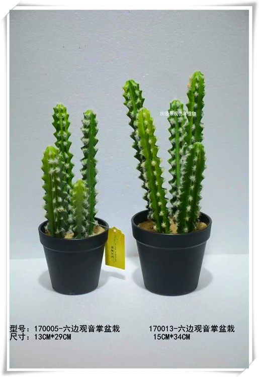 仿真六边观音掌人造假六边观音掌橱窗装饰多肉植物