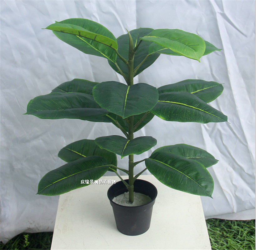 仿真橡胶树人造假橡胶树橱窗装饰摆放仿真橡胶树