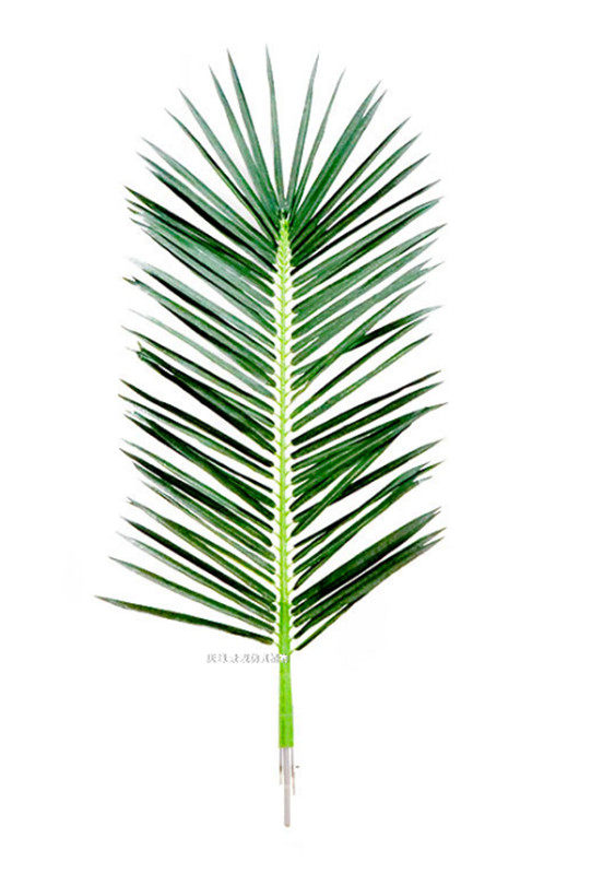 仿真椰子叶热带仿真植物叶塑料叶子室内外过胶树叶拍摄道具