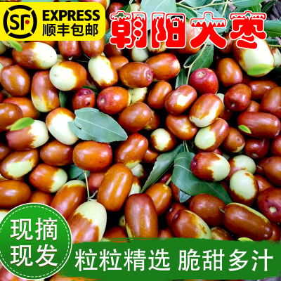 辽宁朝阳大枣应季水果顺丰包邮