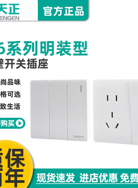 TENGEN天正M6明装墙壁开关插座面板86型家用空调多孔一开五孔白色