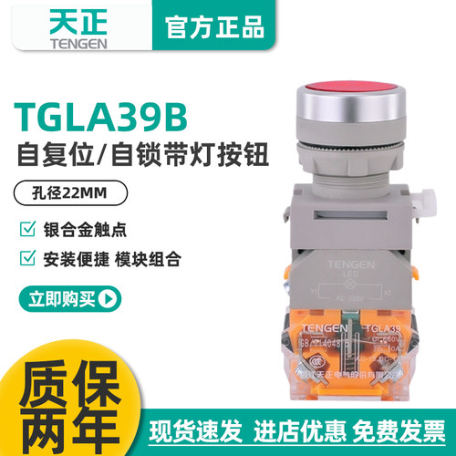 正带灯按钮开关TGLA39B-11BND